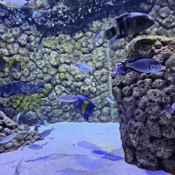 Al Qurm Nature Reserve - Kalba