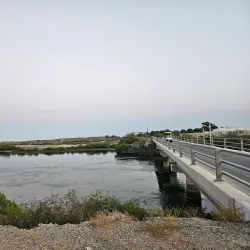 Al Qurm Nature Reserve - Kalba