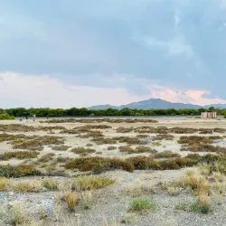 Al Qurm Nature Reserve - Kalba