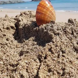 Snoopy Island - Kalba