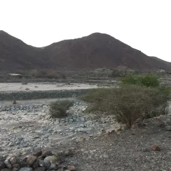 Wadi Al Helou - Kalba