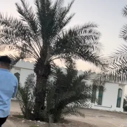 Jebel Ali Mosque - Mina Jebel Ali