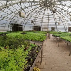 The Sustainable City - Mina Jebel Ali