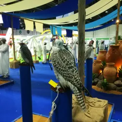 Abu Dhabi National Exhibition Centre (ADNEC) - Mussaffah (Muṣaffah)