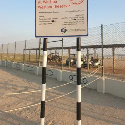 Al Wathba Wetland Reserve - Mussaffah (Muṣaffah)