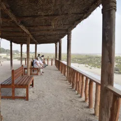 Al Wathba Wetland Reserve - Mussaffah (Muṣaffah)