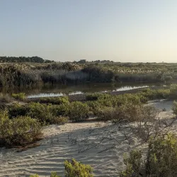 Al Wathba Wetland Reserve - Mussaffah (Muṣaffah)