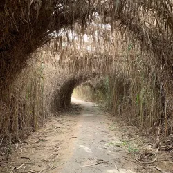 Al Wathba Wetland Reserve - Mussaffah (Muṣaffah)
