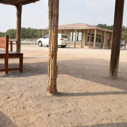 Al Wathba Wetland Reserve - Mussaffah (Muṣaffah)