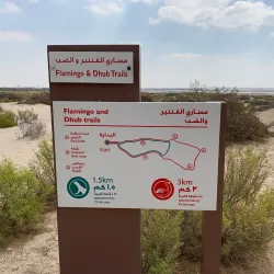 Al Wathba Wetland Reserve - Mussaffah (Muṣaffah)