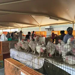 Mussaffah Central Market - Mussaffah (Muṣaffah)