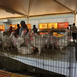 Mussaffah Souq - Mussaffah (Muṣaffah)