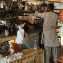 Mussaffah Souq - Mussaffah (Muṣaffah)