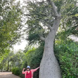 Al Noor Island - Sharjah