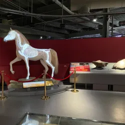 Mleiha Archaeological Centre - Sharjah