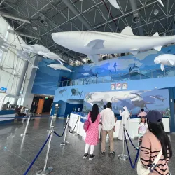 Sharjah Aquarium - Sharjah