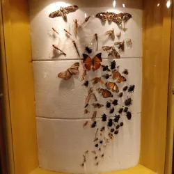 Sharjah Science Museum - Sharjah