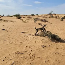 Al Dur Archaeological Site - Umm Al Quwain