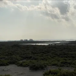 Al Sinniyah Island - Umm Al Quwain