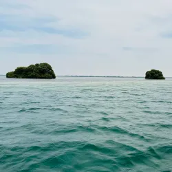 Al Sinniyah Island - Umm Al Quwain