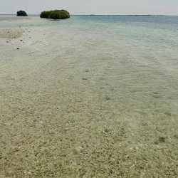 Al Sinniyah Island - Umm Al Quwain
