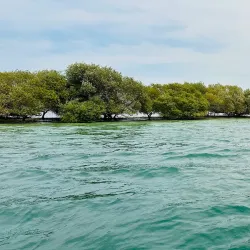 Al Sinniyah Island - Umm Al Quwain