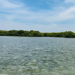 Al Sinniyah Island - Umm Al Quwain