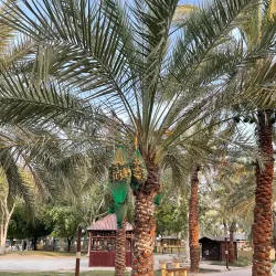 Dreamland Aqua Park - Umm Al Quwain