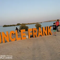 Umm Al Quwain Mangroves - Umm Al Quwain