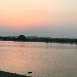 Umm Al Quwain Mangroves - Umm Al Quwain