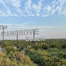 Umm Al Quwain Mangroves - Umm Al Quwain