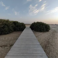 Umm Al Quwain Mangroves - Umm Al Quwain