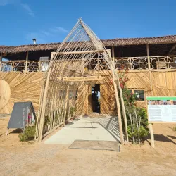 Umm Al Quwain Mangroves - Umm Al Quwain