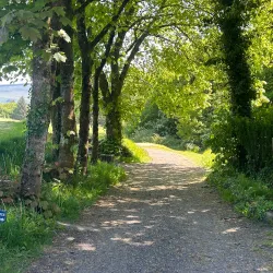 Aberdare Golf Club - Aberdare