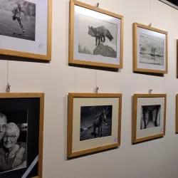 Aberdare Heritage Centre - Aberdare