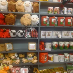 Aberdare Market - Aberdare