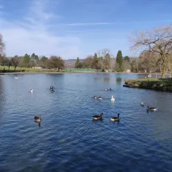 Aberdare Park - Aberdare