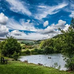 Cwmdare Country Park - Aberdare