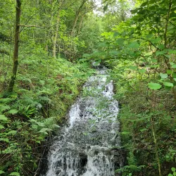 Cwmdare Country Park - Aberdare