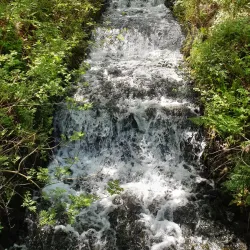 Cwmdare Country Park - Aberdare