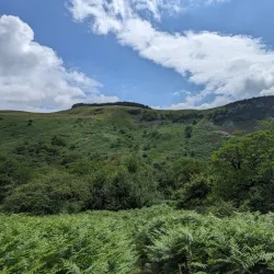 Cwmdare Country Park - Aberdare