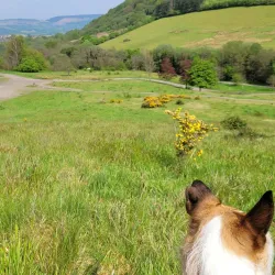 Dare Valley Country Park - Aberdare