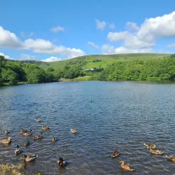 Dare Valley Country Park - Aberdare