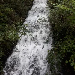 Dare Valley Country Park - Aberdare