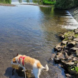 Dare Valley Country Park - Aberdare