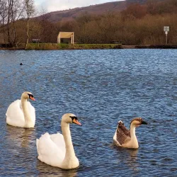 Dare Valley Country Park - Aberdare