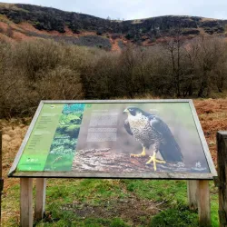 Dare Valley Country Park - Aberdare