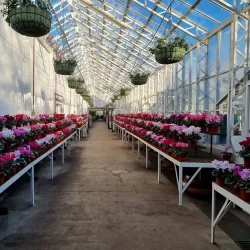 Duthie Park - Aberdeen