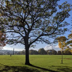 Duthie Park - Aberdeen