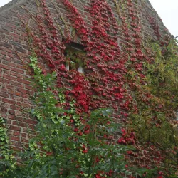 Old Aberdeen - Aberdeen